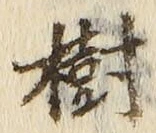 Chữ 樹