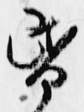 位置 確認된 昏