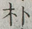朴の位置