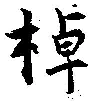 棹 위치 확인됨