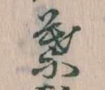 葉の位置