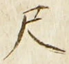 字尺