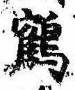 位置 確認된 鶴