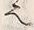 “也”字