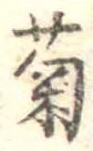 已定位菊