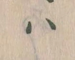 Located 𛂞