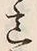 Chữ 意