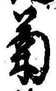 已定位菊