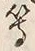 文字等