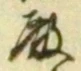 Chữ 殿