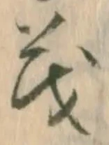 已定位茂