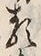 Character 類