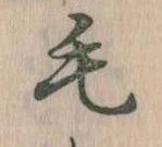 位置定マレル毛