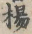 已定位楊