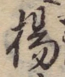 已定位楊