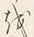 Chữ を