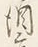 文字 酒