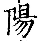 Character 陽