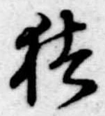 已定位猪