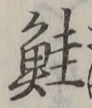 文字鮭