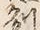 Character 州