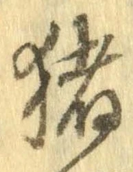 已定位猪