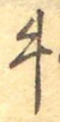 位置定マレル牛