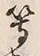 Character 等