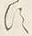 字す