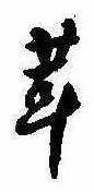 位置定マレル茸