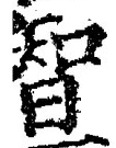 Character 智
