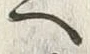 “砂”字