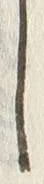 Chữ 件