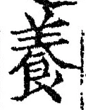 「養」字