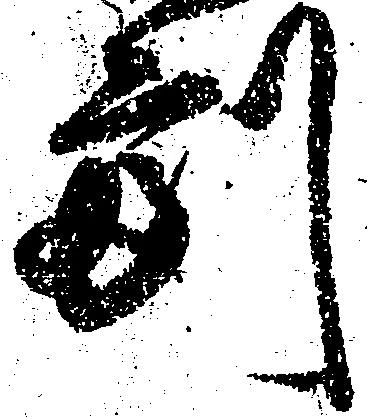 㐌定位副