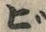 文字ビ