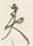 “て”字