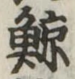 已定位鯨