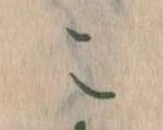 位置定マレルこ