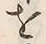 字催