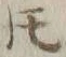 文字𪜈