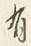 Chữ け