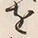 「掻」字