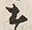 “そ”字