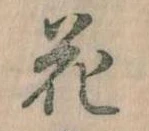 位置 確認된 花