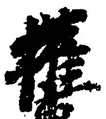 権の位置