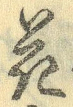 位置 確認된 花