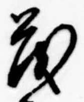 已定位茂