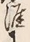 Character 涯
