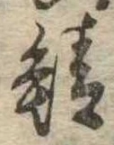 已定位鯖